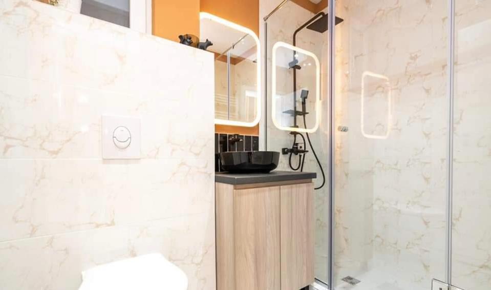 Apartment Old Town Plevnei,